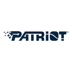PATRIOT P210 SSD 256GB SATA 3 Internal Solid State Drive 2.5inch