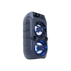 GEMBIRD Bluetooth Party speaker with karaoke function