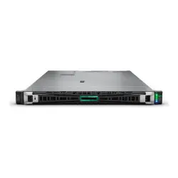 HPE DL360 G11 Intel Xeon Silver 4510 64G 8SFF EU Server