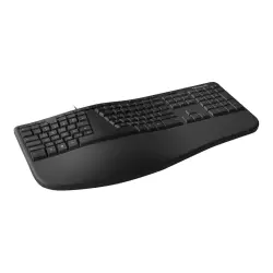 MS Ergonomic Keyboard LXM-00013