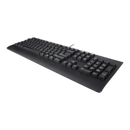 LENOVO 4X30M86918 Lenovo Preferred Pro II USB Keyboard-Black Arabic U.S. EURO successor 73P5256